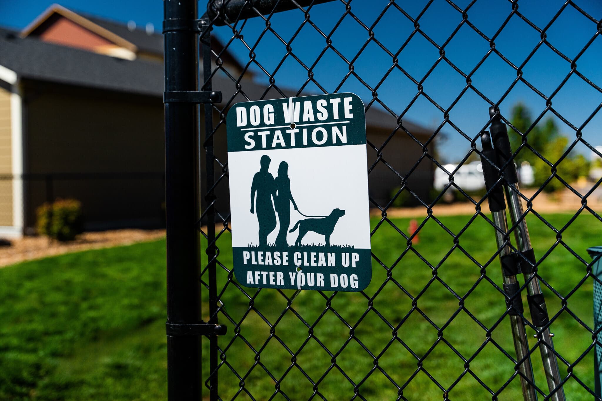 Dog Park